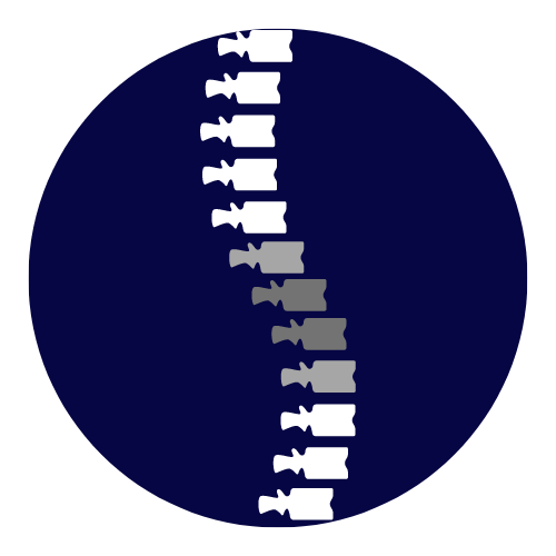 SPINE ICON